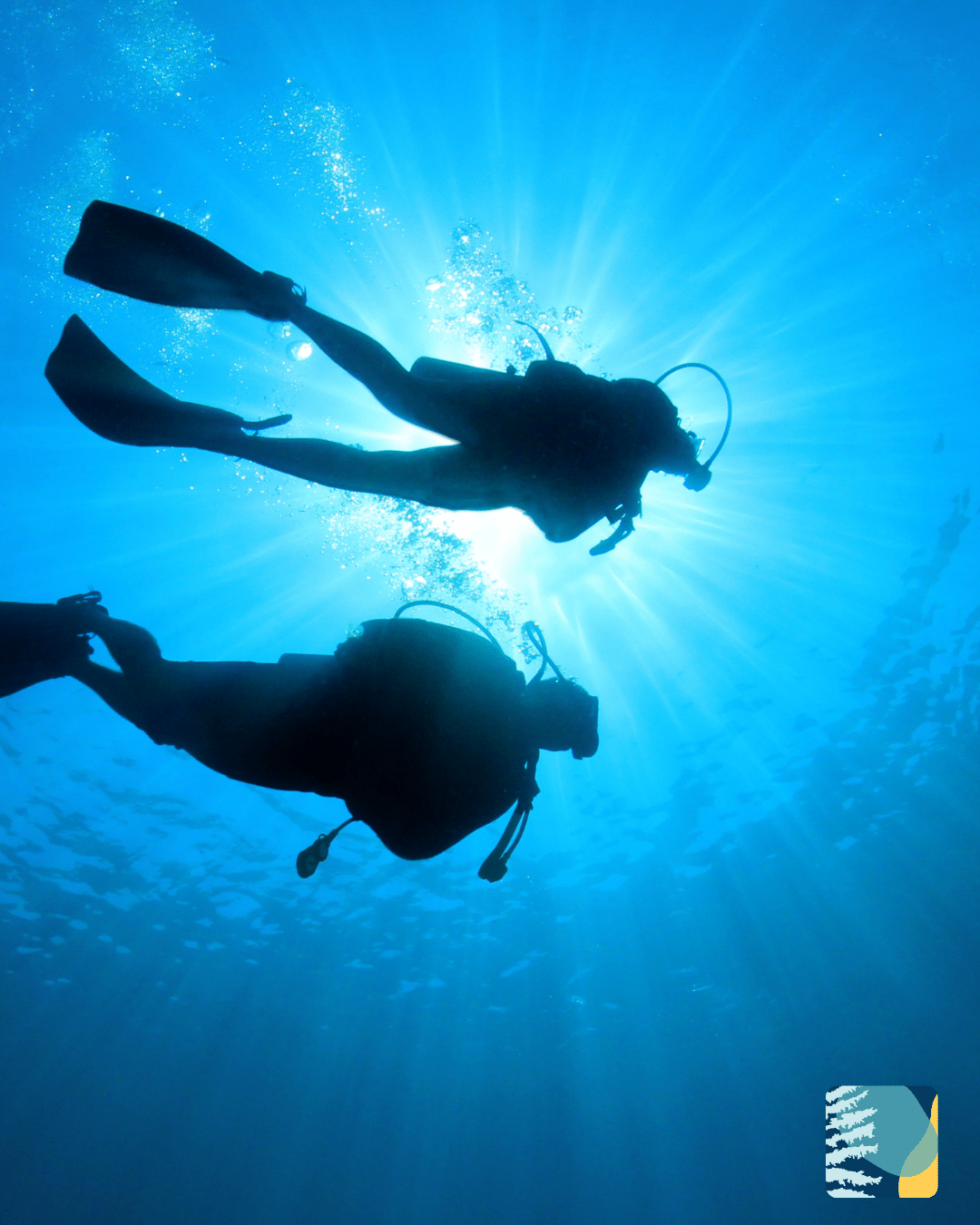 do-i-need-a-dive-medical-australia.png